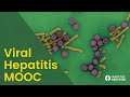 Viral Hepatitis MOOC - Teaser