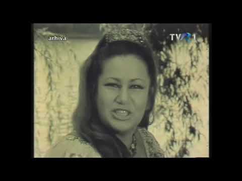 Gipsy Casual - Ileana Ileana (Cover Song)