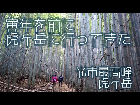 【登山】寅年を前に虎ヶ岳に行ってきた