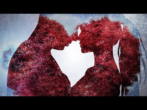 نوال الزغبي و وائل كفوري مين حبيبي انا
