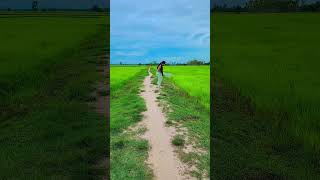យុត្តិធម៌គ្មានទេសម្រាប់មនុស្សស្មោះ