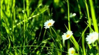 OST Hwang Jin Yi - Please Look - Choi Hye Jin (그대 보세요 - 최혜진)