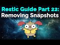 Restic Guide Part 22: Removing Snapshots