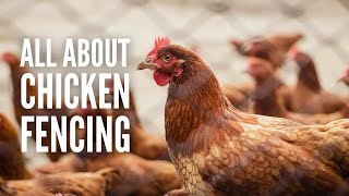 Fencing for Chickens: How to Pick the Right Fences