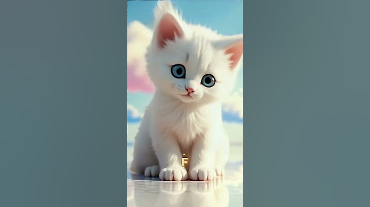 This Kitten Has The Cutest Request Ever!