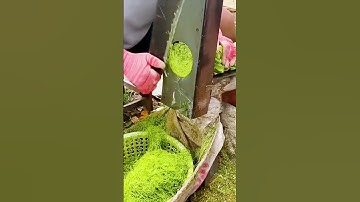 technique of slicing leaves until thin and soft #shorts