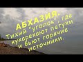 Море и эвкалипты. Отдых в Абхазии 08.2021г.