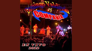 Video thumbnail of "Domingo Valdivia Y Compañía - La Bogotana / La Venganza (En Vivo)"