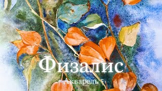 Акварель по мокрому – Физалис (Watercolor Paint) Акварель по мокрому – Физалис (Watercolor Paint)