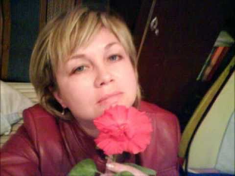 شبكنا ستايرة حرير