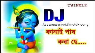 Dj voktimulok song Assamese//Kanai par kora he//lokogeet//ZUBEEN grgr//2020