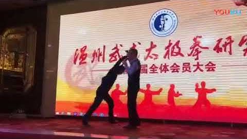 王小伦说武式太极 标清