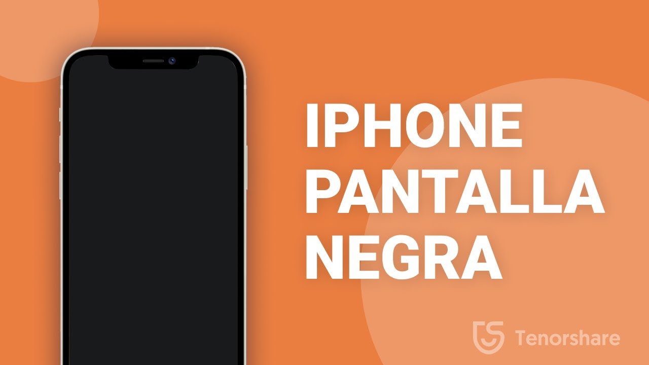 Display iPhone 6 Negra - Pantalla y LCD Apple para Celulares