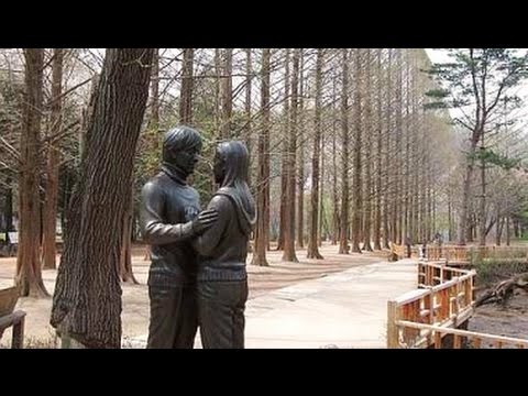  Pemandangan  nami island di  korea  selatan tempat wisata 