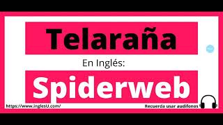 Cómo se dice telaraña en inglés - telaraña en ingles