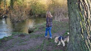 Finn, making anything good. Earlham Park, 13th January 2020 by James Anderson 50 views 4 years ago 2 minutes, 19 seconds