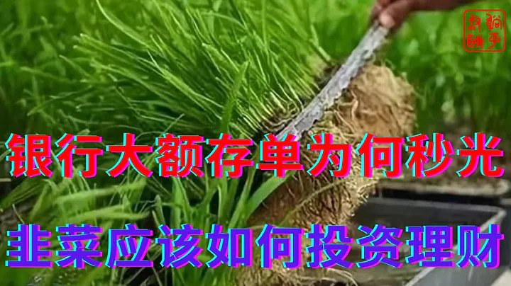 銀行大額存單為何秒光||韭菜應該如何投資理財||躺平叔聊投資理財 - 天天要聞