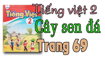 Tiếng việt lớp 2| Sách cánh diều tập 1| bài 8 trang 69| Những cây sen đá