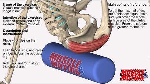 Foam Roller Exercises - Gluteus Maximus & Piriformis
