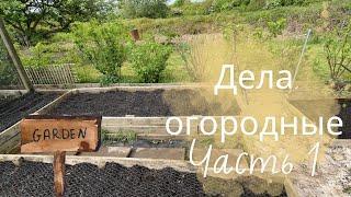 Занялась огородом