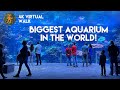 Georgia aquarium  4k walkthrough  slow tv  virtual walk  biggest aquarium in the world  atlanta