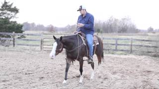 2010 big chex to cash mare