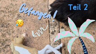 Urlaub mit Freunden oder eine Katastrophe? 🐴🫣 Teil 2/2 