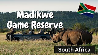 Thrilling Safari Adventure in South Africa! Madikwe Game Reserve.