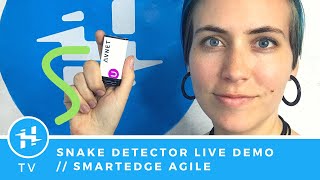 SmartEdge Agile: Snake Detector // MCU Monday