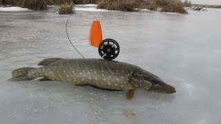 Смотреть видео ловля щуки зимой на жерлицы(Водонепроницаемый,пылезащитный,ударопрочный СМАРТФОН BV5000 Отличный подарок мужчине на 23 февраля заказать..., 2015-11-07T20:23:18.000Z)