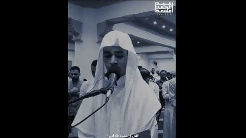 (ربنا انك تعلم مانخفي وما نعلن) |القارئ عبدالرحمن مسعد |