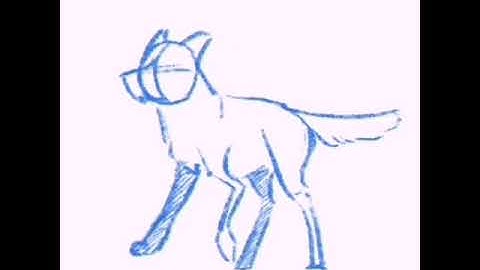 Wolf Running Animation Test