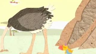 Tucky Tales - Ostrich