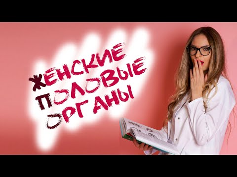 Как всё устроено😏🤔 Анатомия женских половых органов ☺️❤️Женская половая система 🌸