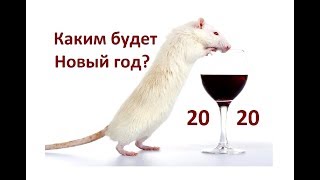 Новый Год 2020 - Год Крысы ? Крыса Принесет Счастье? А Какое Счастье У Крысы?