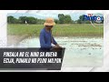 Pinsala ng El Nino sa Nueva Ecija, pumalo ng P100 milyon | TV Patrol