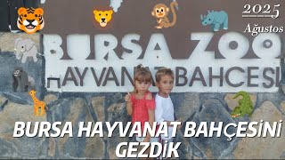 Derin Ve Deniz Ile Bursa Hayvanat Bahçesi Gezisi 2025 Giriş Ücreti, Nerede Ve Nasıl Gidilir?