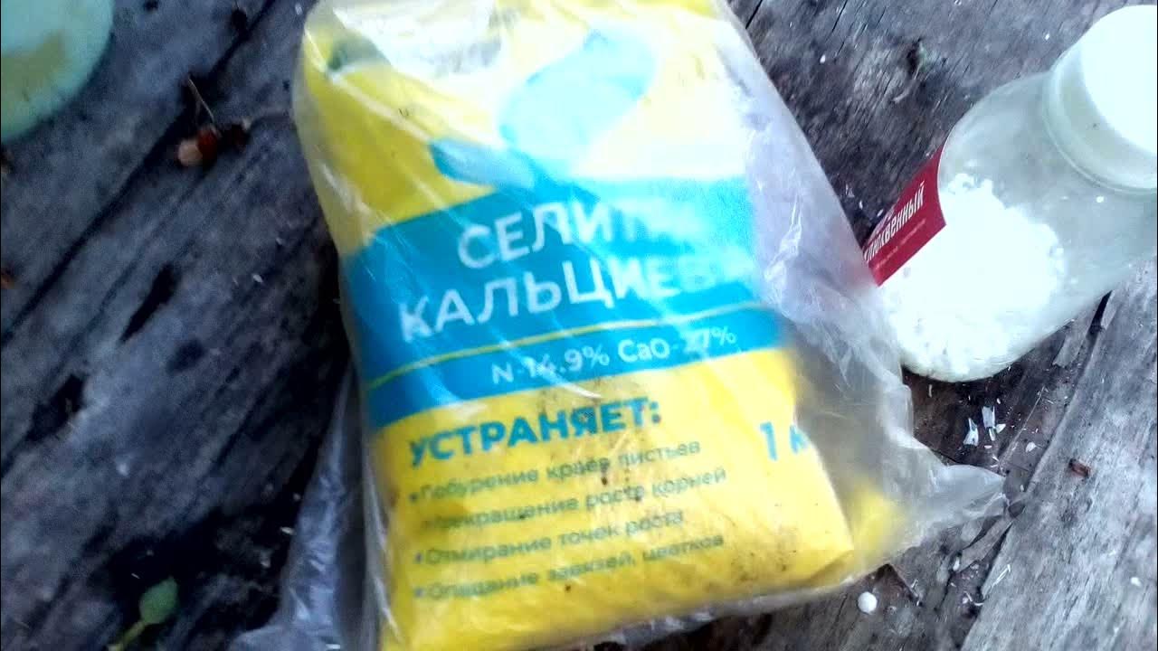 Как правильно использовать кальциевую селитру - YouTube