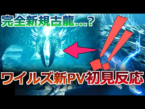 【モンハンワイルズPV②初見反応】謎の新規メインモンスターかッ!?？？ 落雷を操る新古龍！？？【PV初見反応】