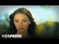 DREAM ENOUGH - Anima Inside (web clip) Soundtrack Graiman