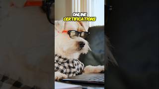 What happens when you don't register your service dog #servicedog #registration