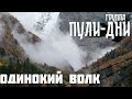 Группа Пули Дни Одинокий волк Группа Пули Дни Одинокий волк