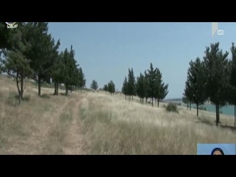 გახსნილი დანაშაული