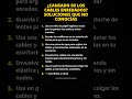 ¿Cansado de los cables enredados? Soluciones que no conocías #publicidad (Verifica los datos)