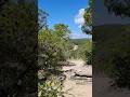 K-3004 Dinosaur Valley State Park. Beautiful Views and Dinosaur Tracks to boot! #hamradio #pota