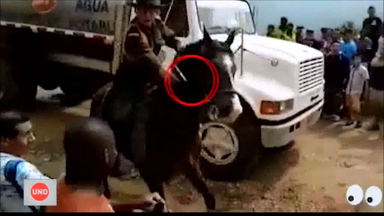 Comando de la Policía se excusó por carabinero que apuntó con su arma a feligreses en Cali colombia vs argentina