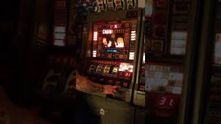 Jpm casino crazy fruit machine. screenshot 3