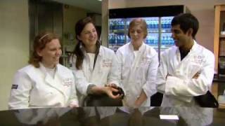 Celebrity Iron Chef: Ingram Commons Net Worth