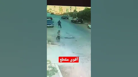 أقوى مقطع كلاب ضالة تهاجم شابا في الشارع العام بمدينة اربد 