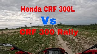 Honda crf300l vs crf300l rally. Why would you choose the L?